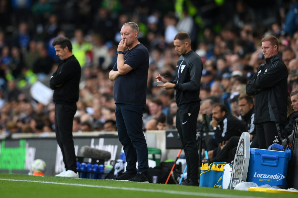 Fulham FC v Leicester City FC - Premier League