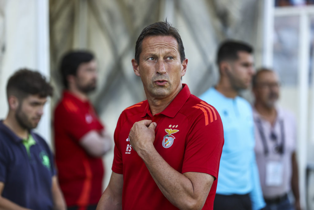 Benfica v Fulham - Pre-Season Friendly