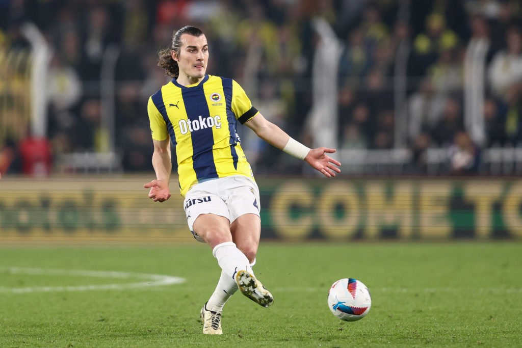Fenerbahce v Goztepe - Turkish Super League