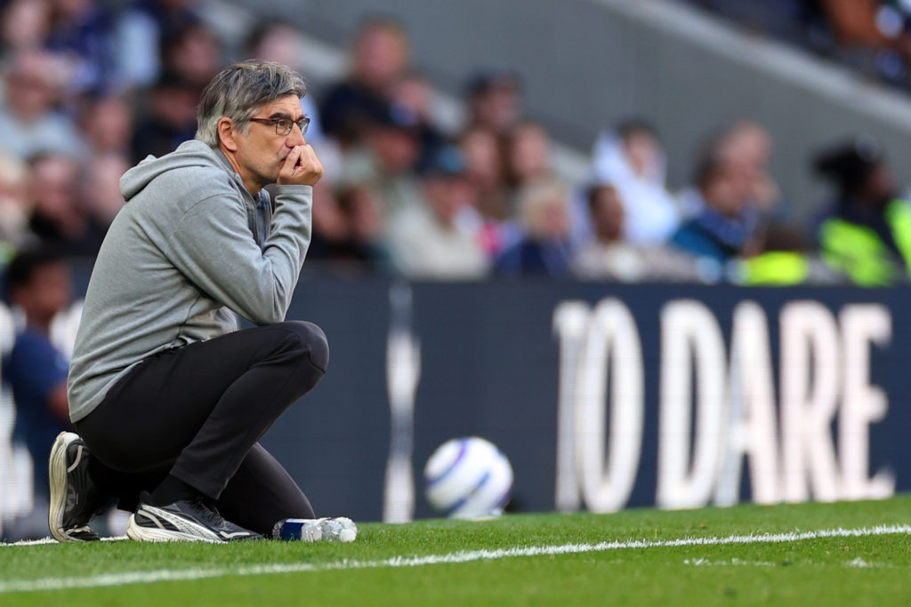 Tottenham Hotspur FC v Southampton FC - Premier League